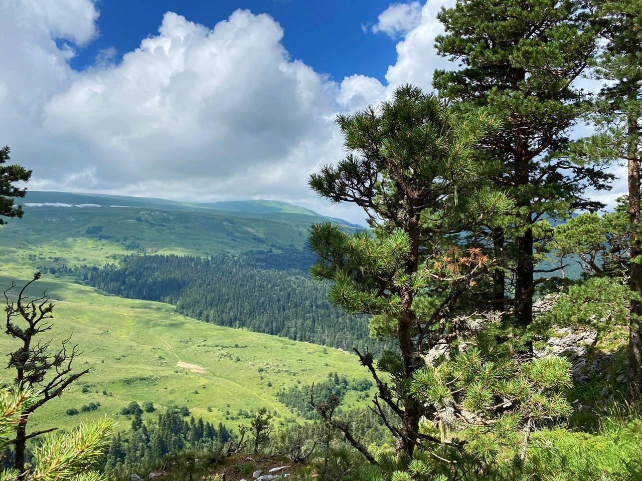 Едем в горы (41/77)