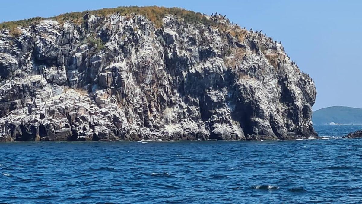 Яхтинг во Владивостоке. Залив Петра Великого (7/12)