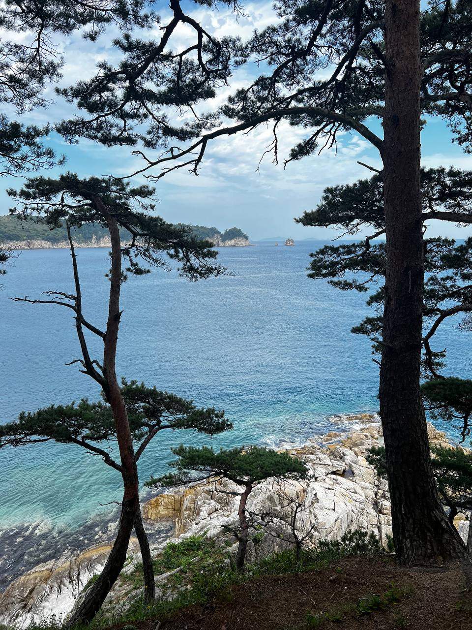 Яхтинг во Владивостоке. Залив Петра Великого (4/12)