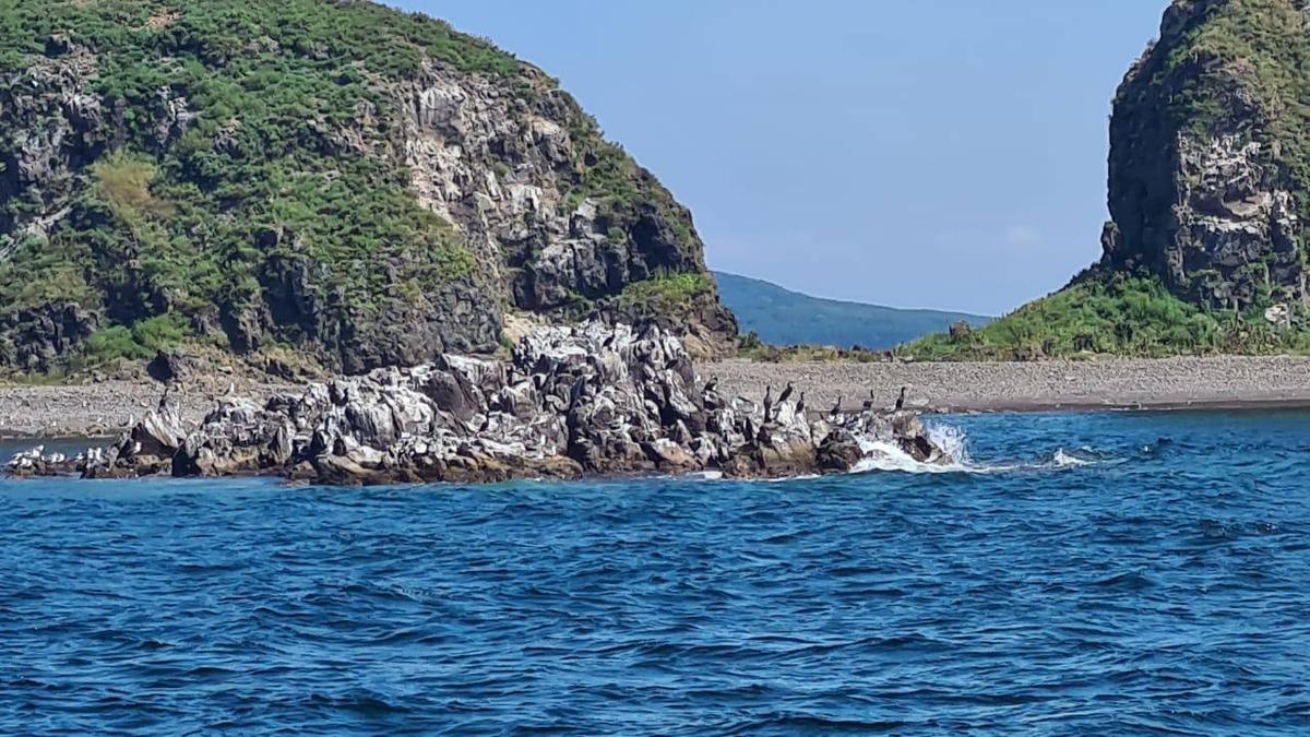 Яхтинг во Владивостоке. Залив Петра Великого (6/12)
