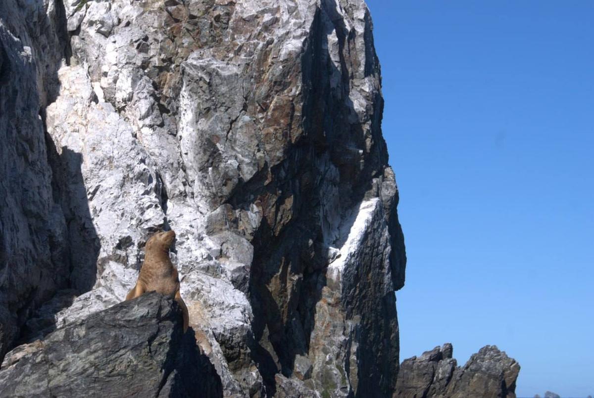 Яхтинг во Владивостоке. Залив Петра Великого (11/12)