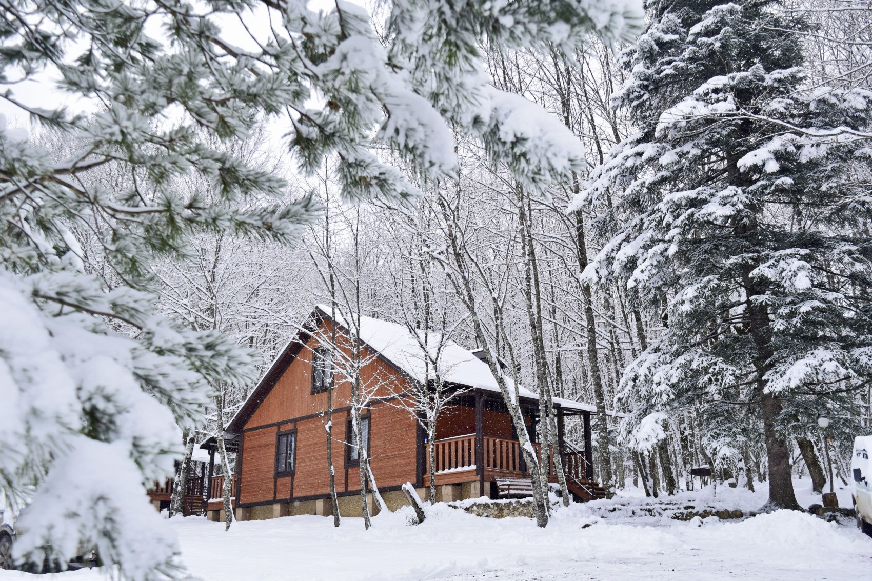 Активная зима