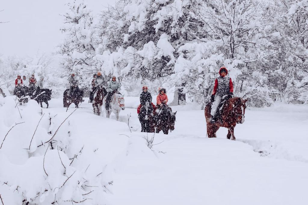 Мультиактив в горах (4/45)