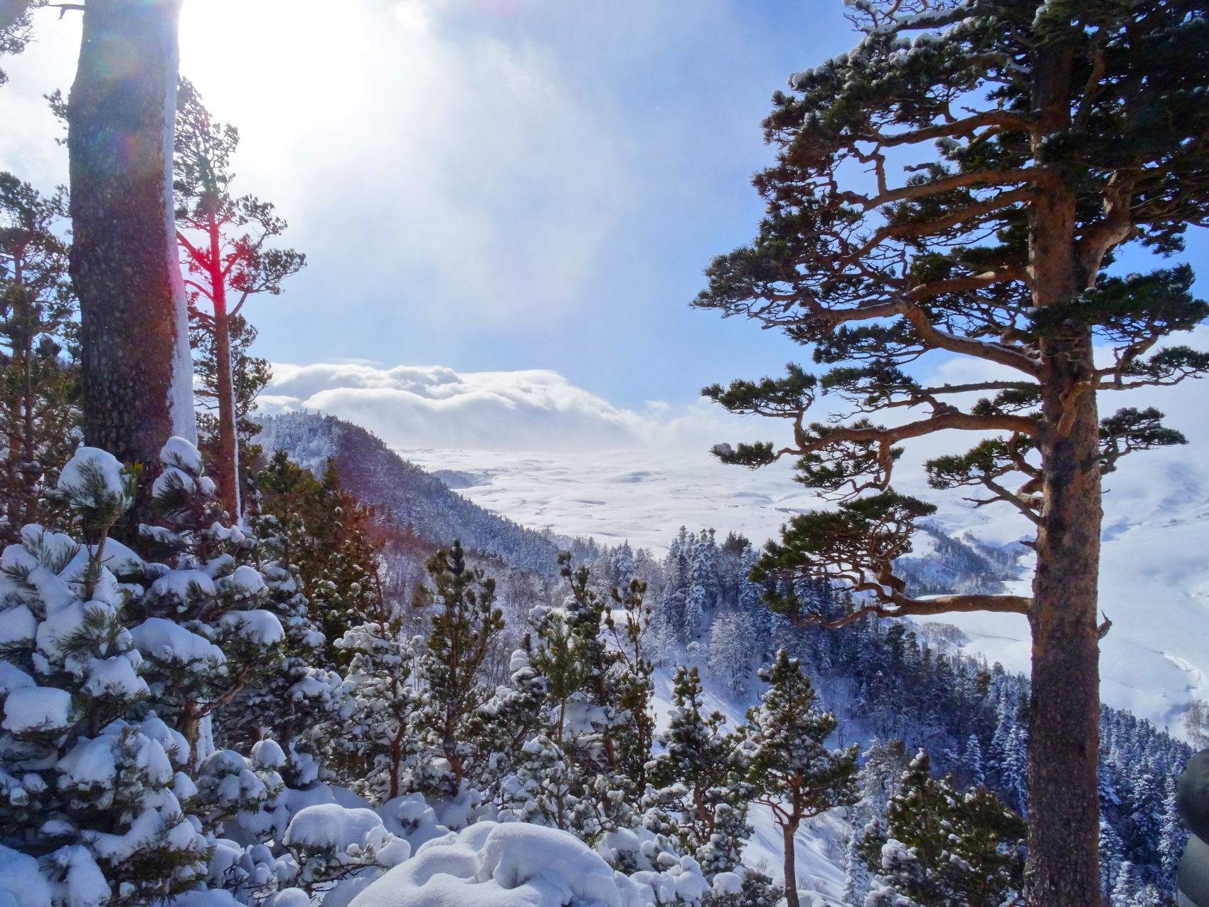 Мультиактив в горах (14/45)