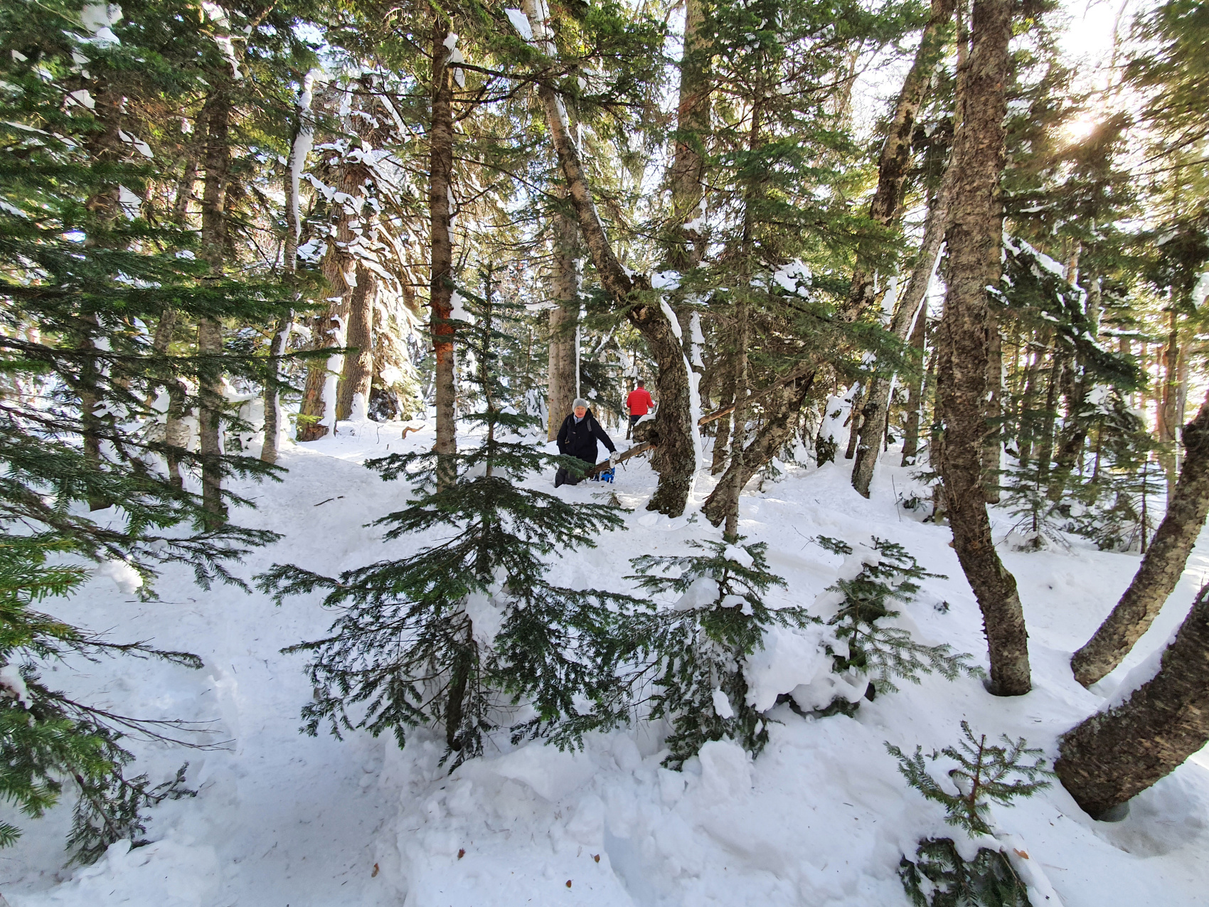 Мультиактив в горах (15/45)