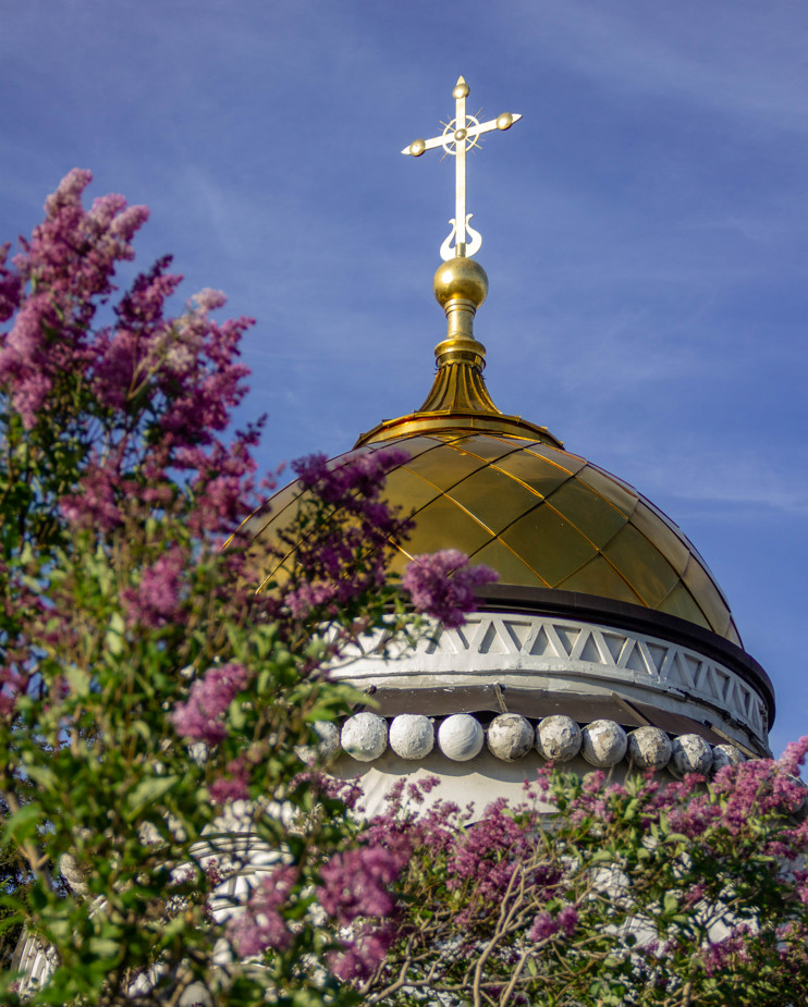Байкальские мелодии, легенды и тайны: Иркутск, Листвянка, Байкал, Тажераны и Ольхон (61/61)