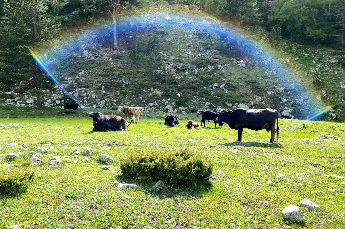 Горный лагерь Уллу-Тау. Манящее Приэльбрусье (6/39)