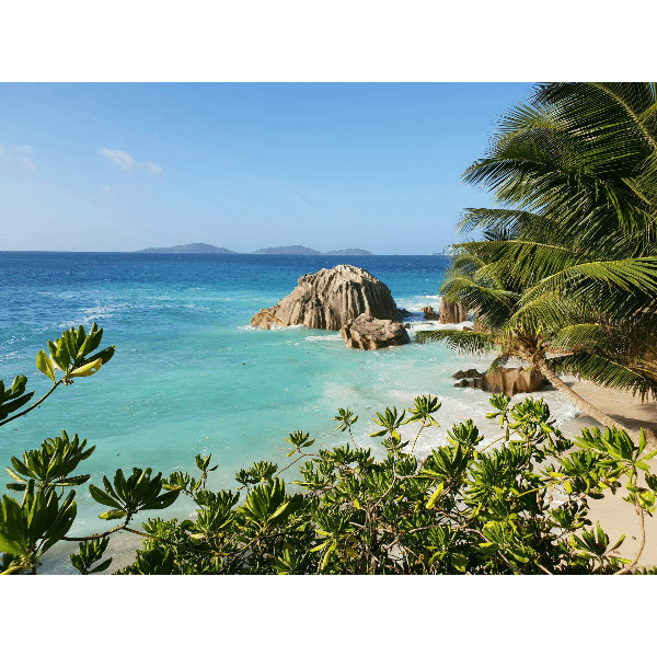 Под парусами за поиском сокровищ на Сейшелах (19/44)