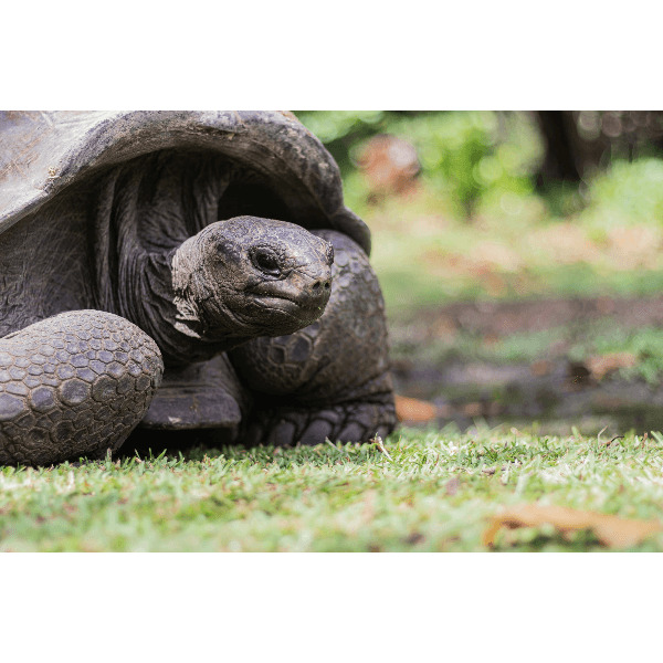 Под парусами за поиском сокровищ на Сейшелах (16/44)