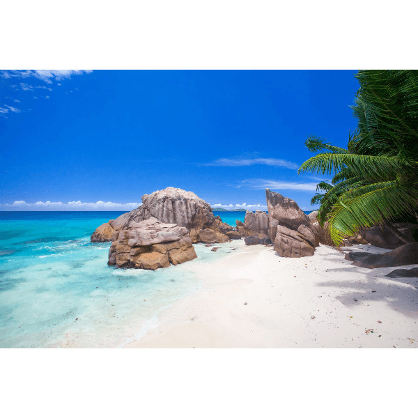 Под парусами за поиском сокровищ на Сейшелах (8/44)