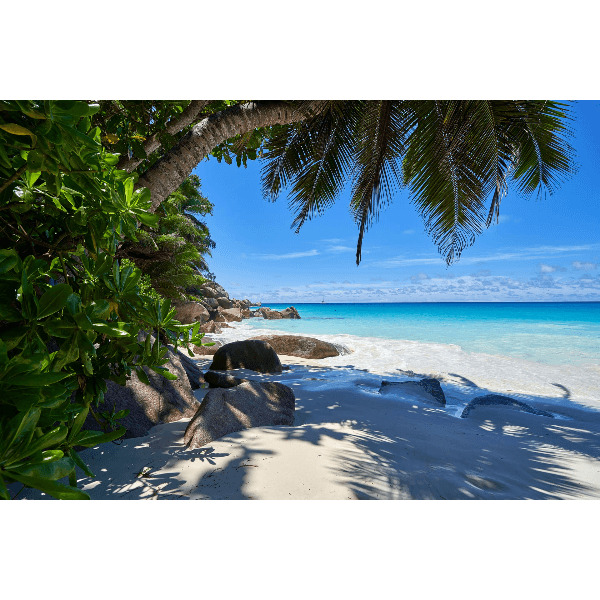 Под парусами за поиском сокровищ на Сейшелах (20/44)