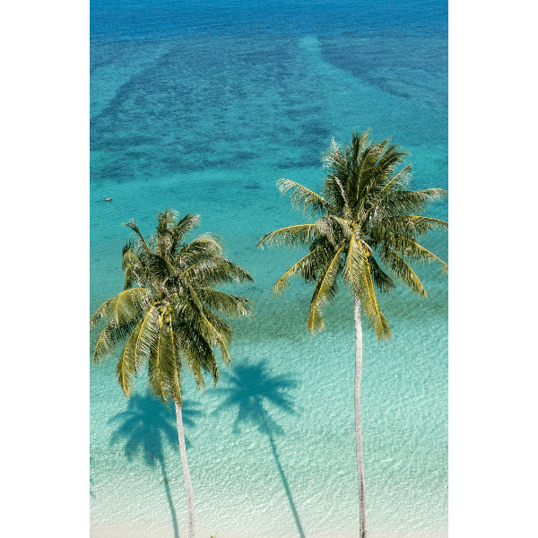 Под парусами за поиском сокровищ на Сейшелах (14/44)