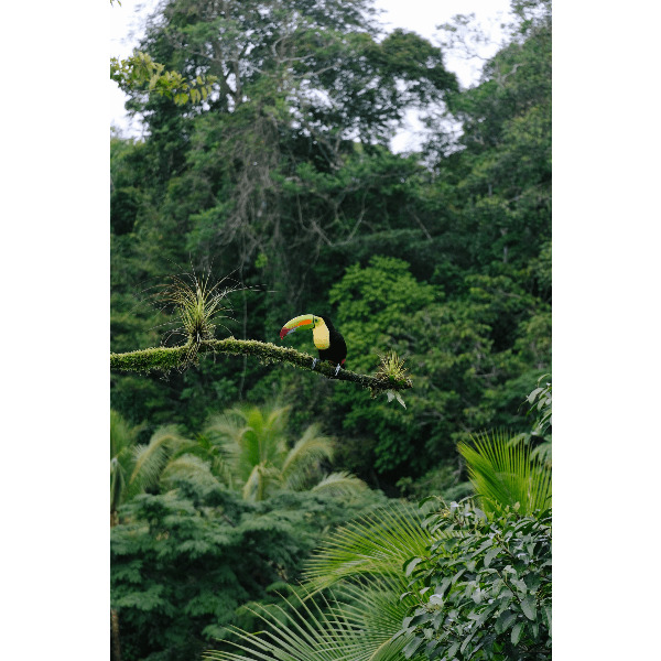 Под парусами за поиском сокровищ на Сейшелах (17/44)