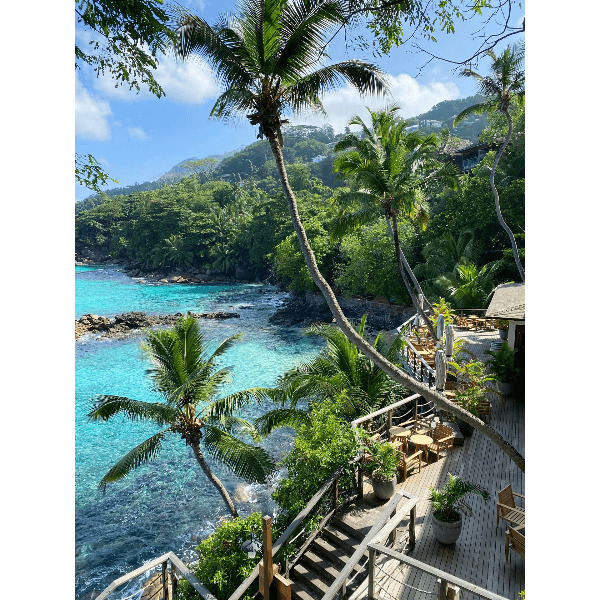 Под парусами за поиском сокровищ на Сейшелах (15/44)