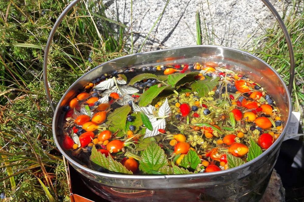 Треккинг в Приэльбрусье без рюкзаков. (6/45)