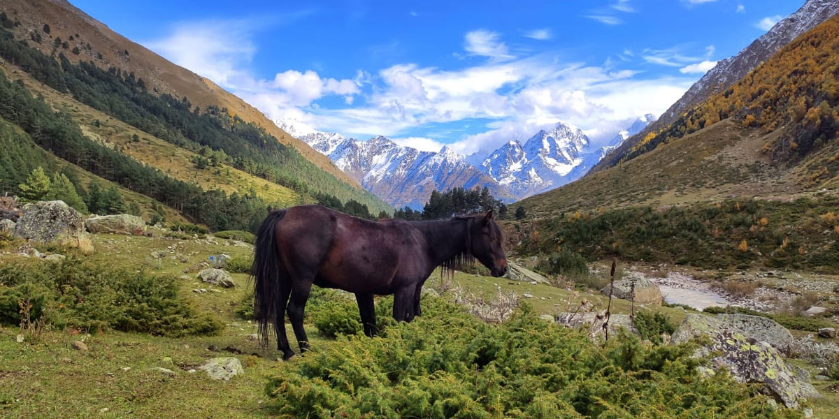 Треккинг в Приэльбрусье без рюкзаков. (23/45)