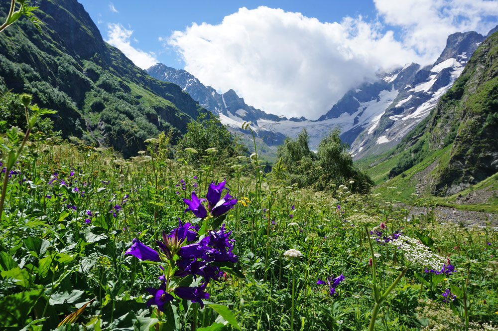 Треккинг в Домбае. Комфорт-тур с гостиницей (9/47)