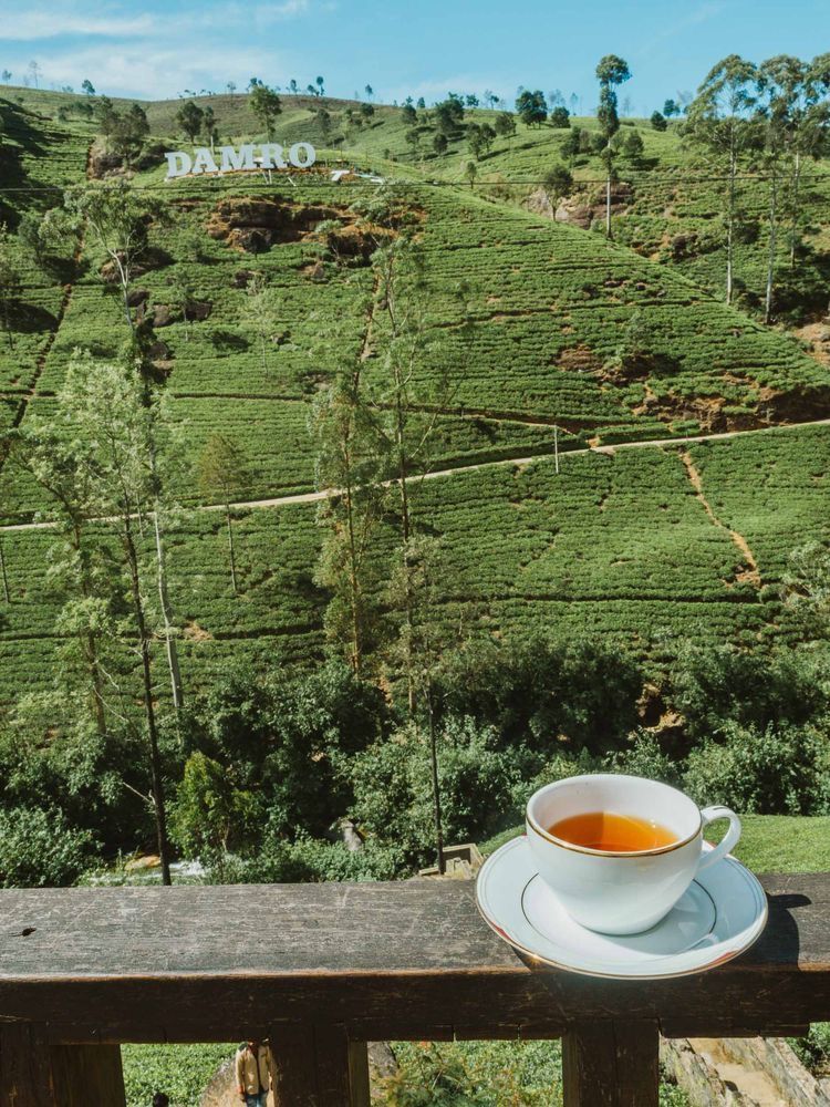 Фото-Путешествие на Шри-Ланку (14/69)