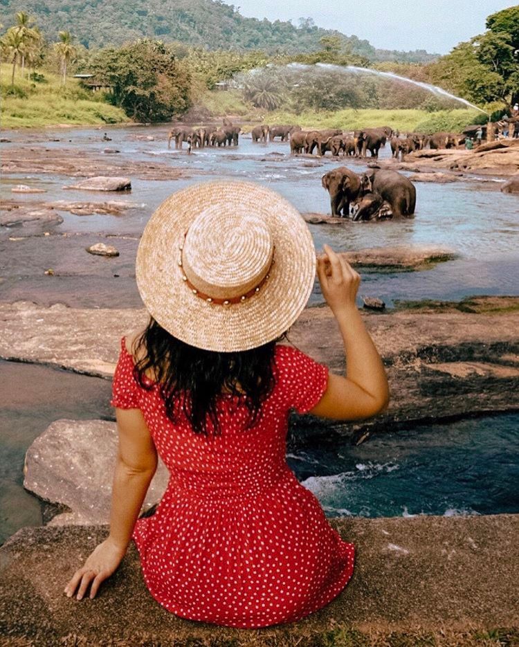 Фото-Путешествие на Шри-Ланку (6/69)