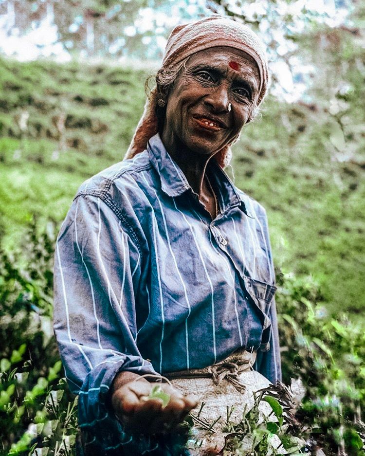 Фото-Путешествие на Шри-Ланку (11/69)