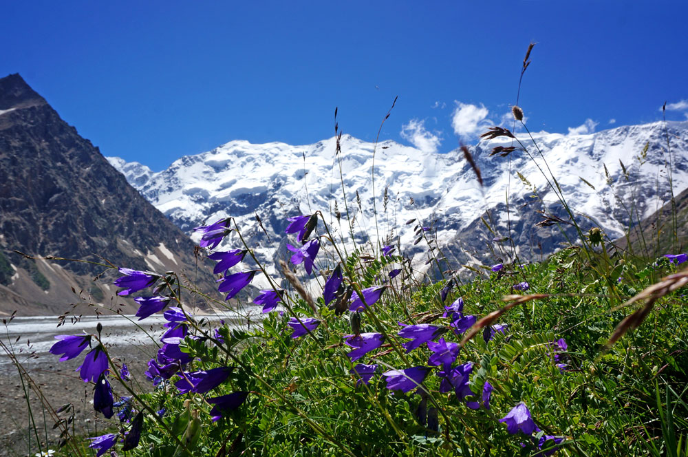 Треккинг в Безенги. Комфорт-тур с гостиницей. (40/54)