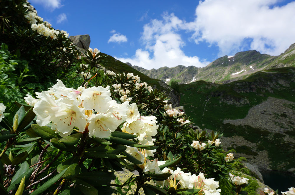 Горный лагерь в Архызе. Софийские озёра. (7/46)