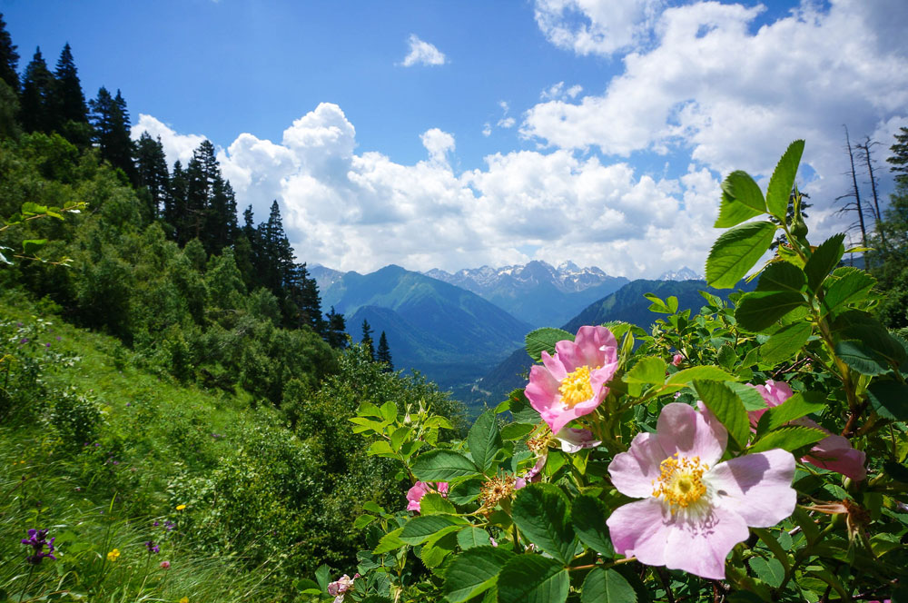 Горный лагерь в Архызе. Софийские озёра. (6/46)
