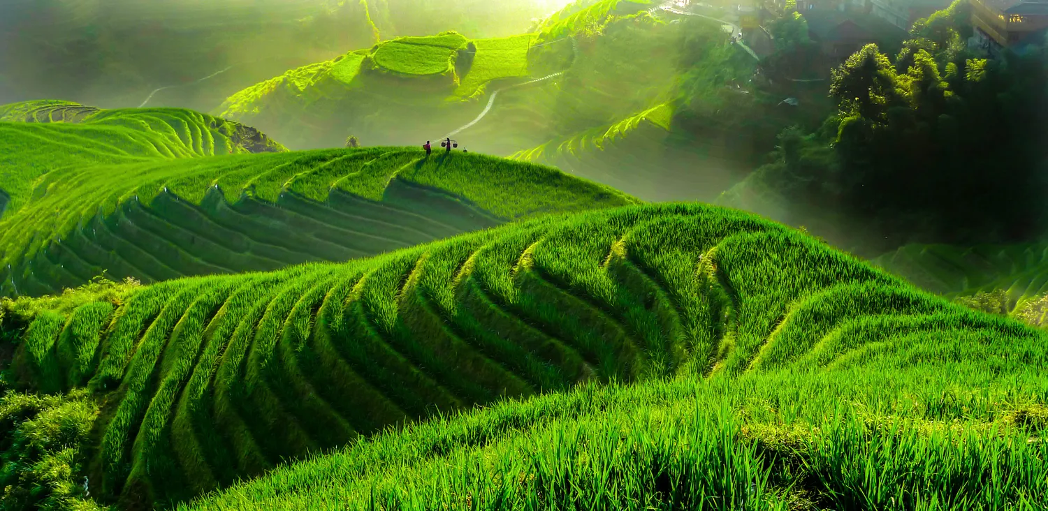 Гранд-тур по Китаю: Сиань-Чунцин-Лицзян-Дали-Куньмин-Гуйлинь (9/12)