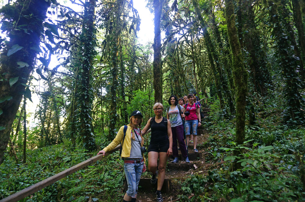 Треккинг в Сочи. Каникулы в субтропиках. (13/52)