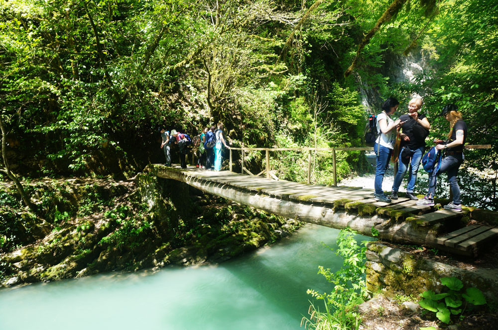 Треккинг в Сочи. Каникулы в субтропиках. (5/52)