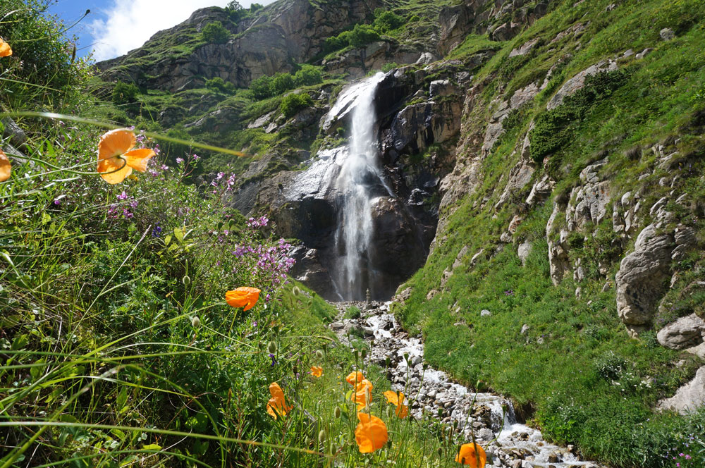 Треккинг в Безенги. Комфорт-тур с гостиницей. (12/54)