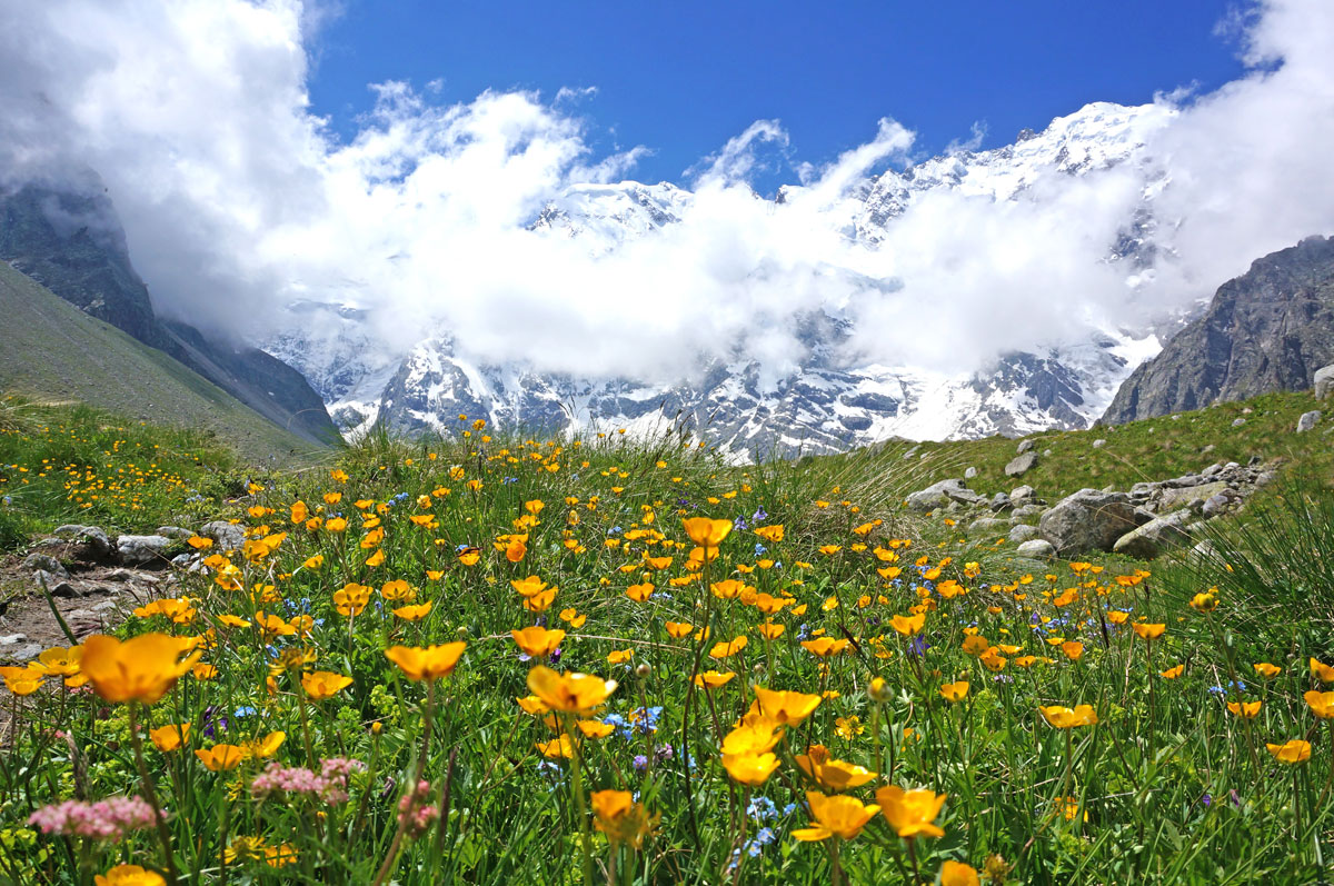 Горный лагерь в Безенгийском ущелье (22/47)