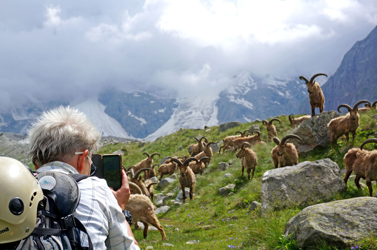 Треккинг в Безенги. Комфорт-тур с гостиницей. (26/54)