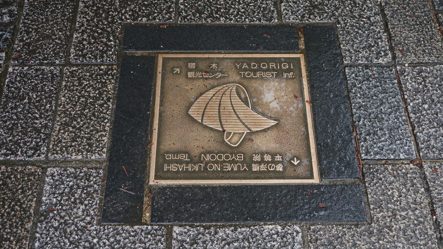 Новогодние каникулы в Японии:  5 городов, гора Фудзи (20/35)