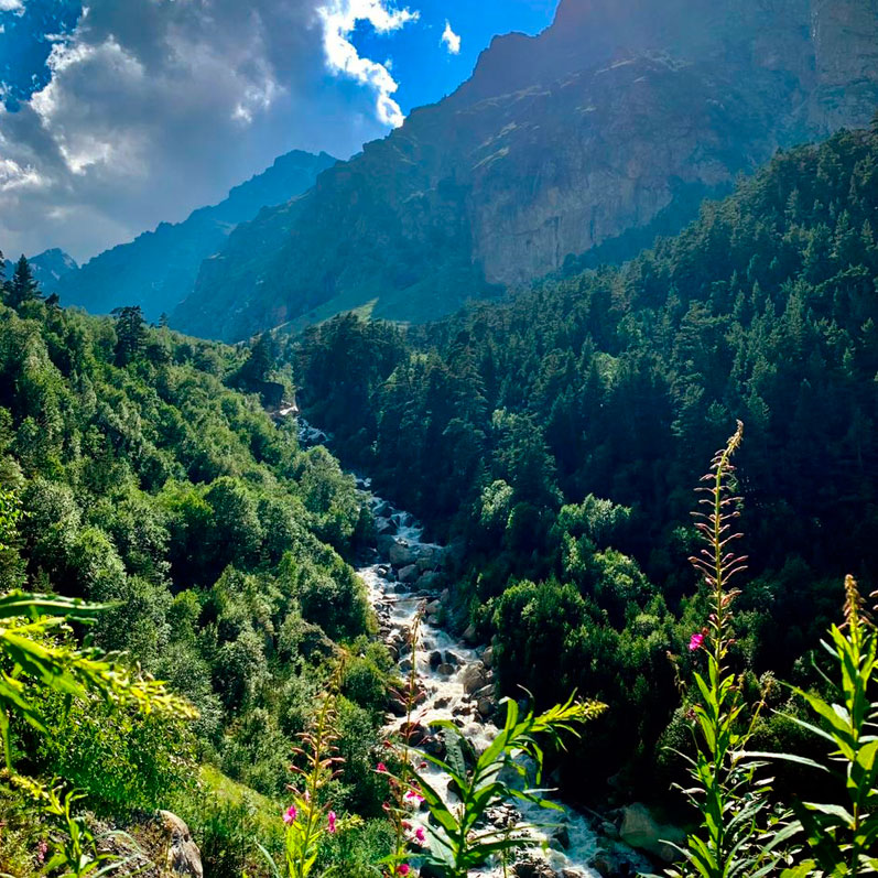 Горный лагерь в Северной Осетии. Дигорское ущелье (41/74)