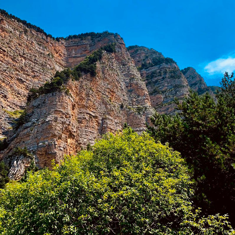 Горный лагерь в Северной Осетии. Дигорское ущелье (2/74)