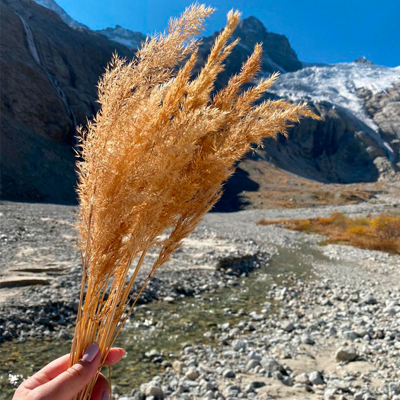 Горный лагерь в Северной Осетии. Дигорское ущелье (45/74)