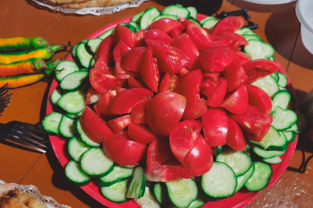 Горный лагерь в Северной Осетии. Дигорское ущелье (50/74)