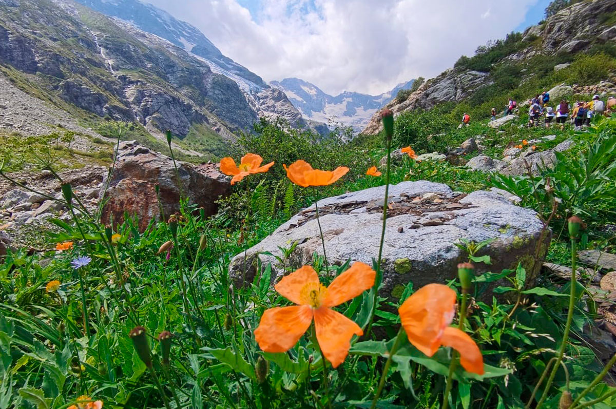 Горный лагерь в Северной Осетии. Дигорское ущелье (48/74)