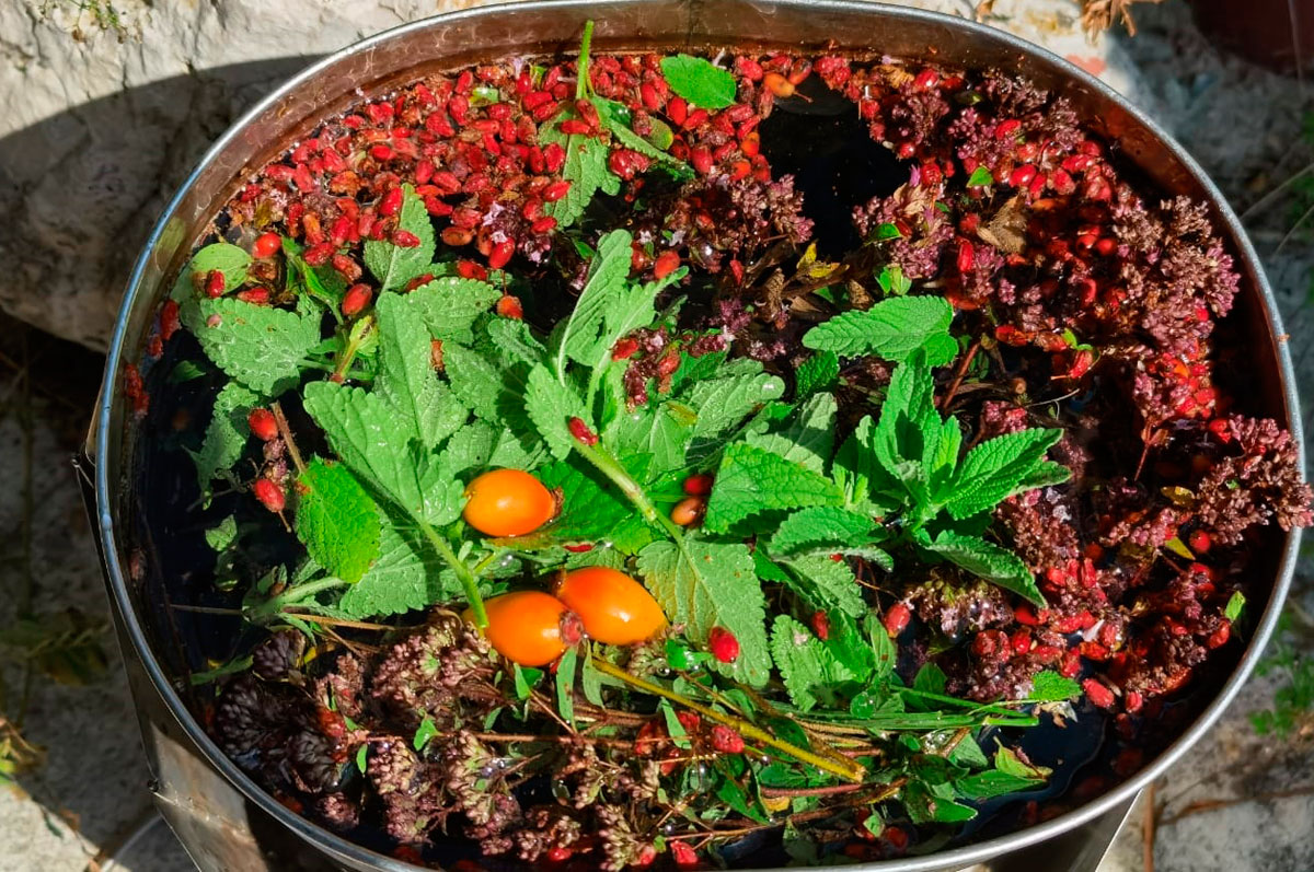 Горный лагерь в Северной Осетии. Дигорское ущелье (52/74)