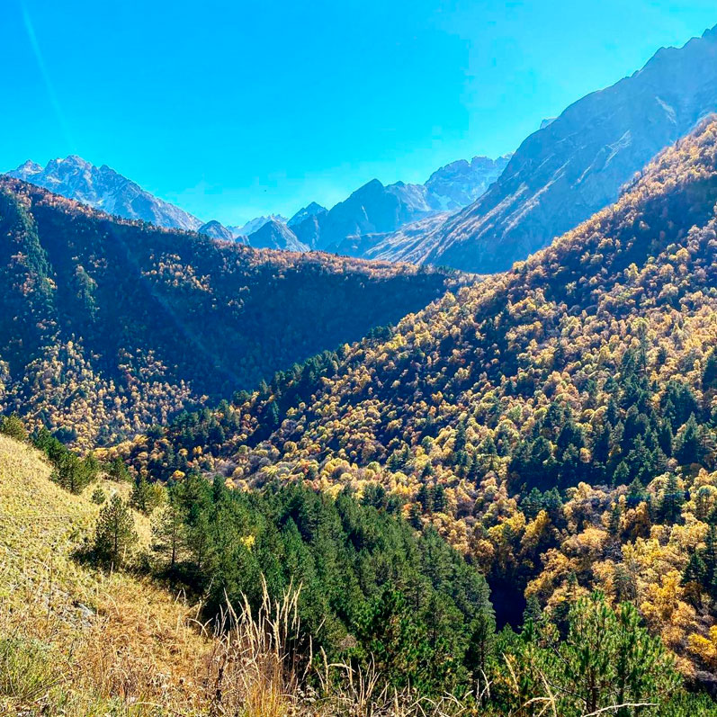 Горный лагерь в Северной Осетии. Дигорское ущелье (13/74)