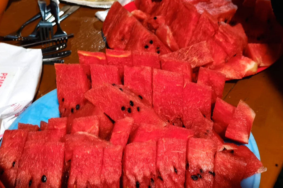 Горный лагерь в Северной Осетии. Дигорское ущелье (53/74)