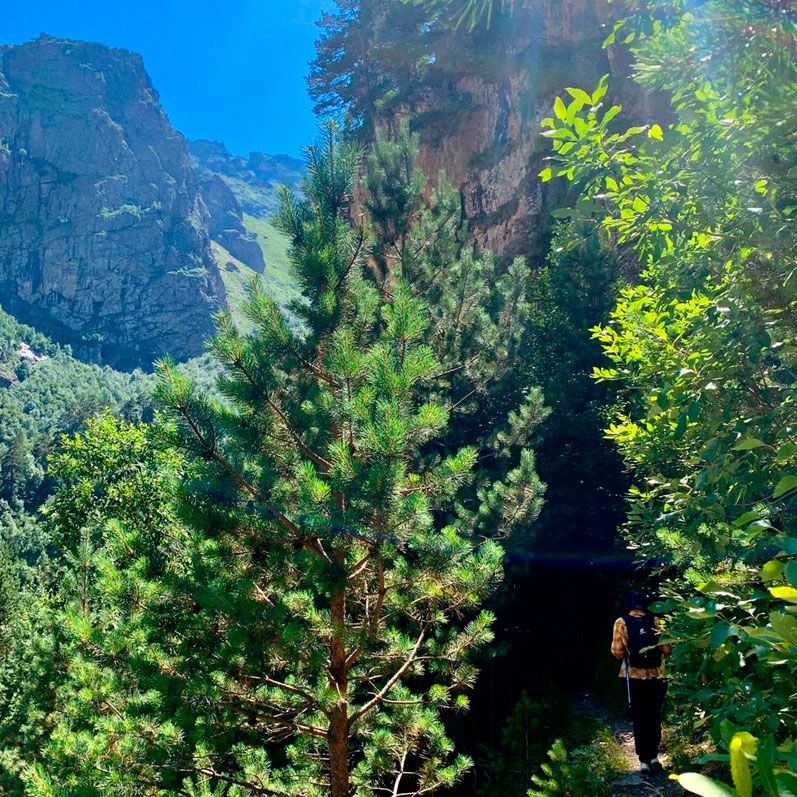 Горный лагерь в Северной Осетии. Дигорское ущелье (42/74)