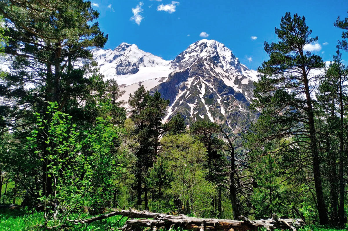 Горный лагерь в Северной Осетии. Дигорское ущелье (12/74)