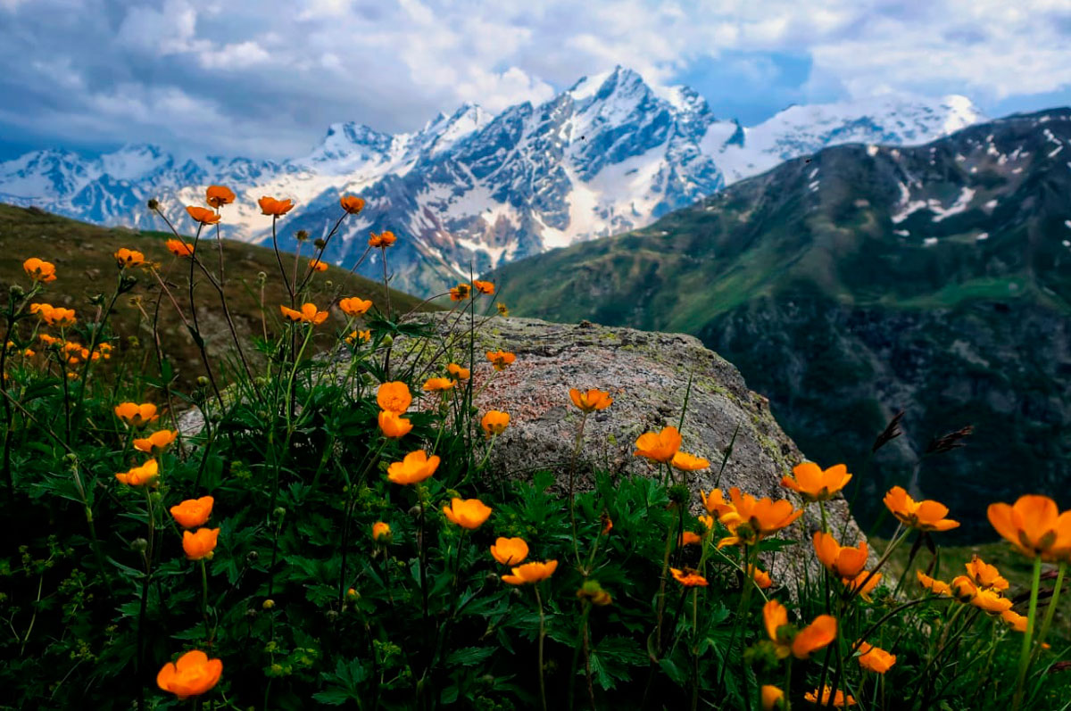 Горный лагерь в Северной Осетии. Дигорское ущелье (21/74)