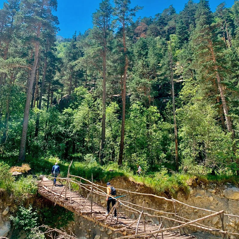 Треккинг в Северной Осетии. Дигорское ущелье (28/51)