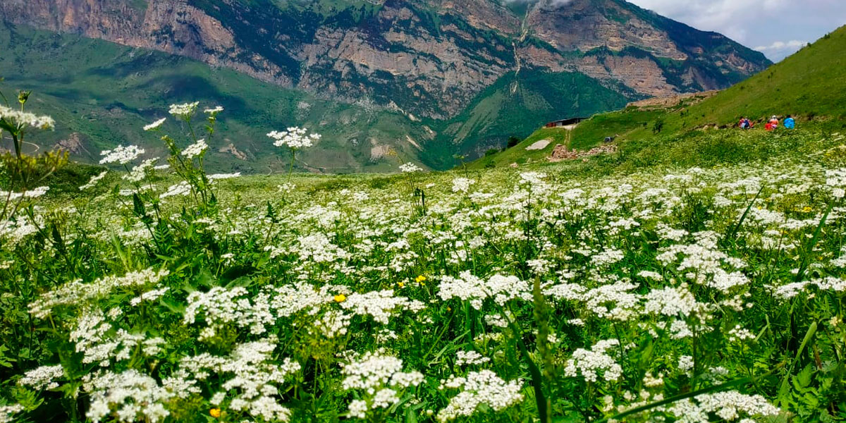 Треккинг в Северной Осетии. Дигорское ущелье (14/51)