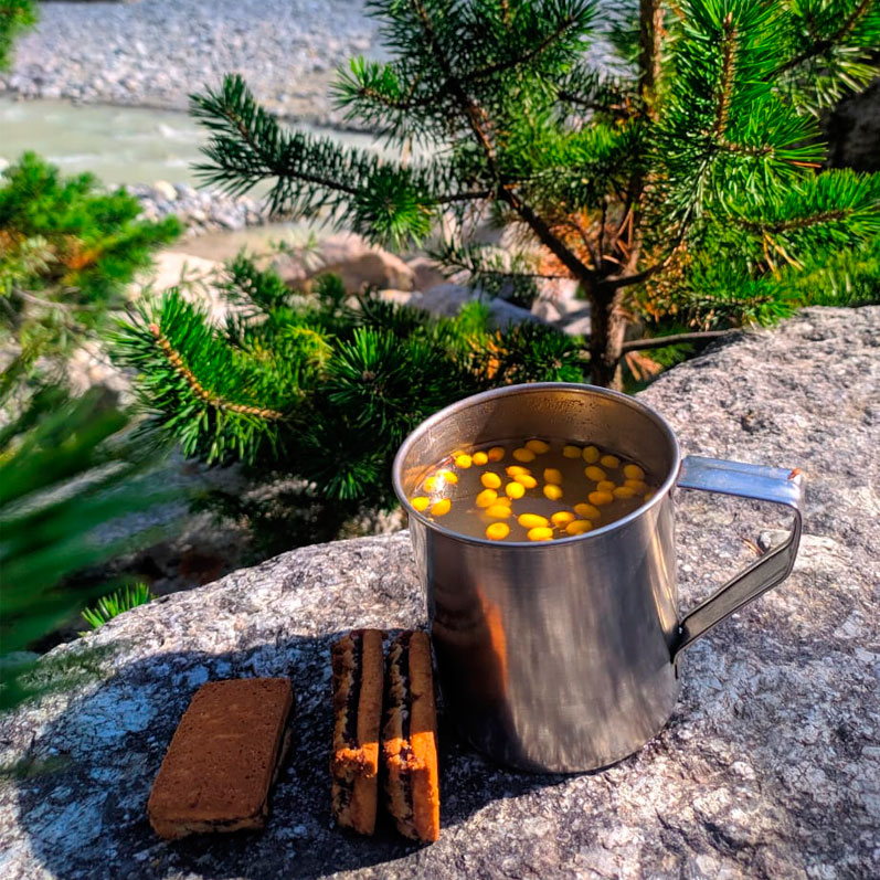 Треккинг в Северной Осетии. Дигорское ущелье (3/51)