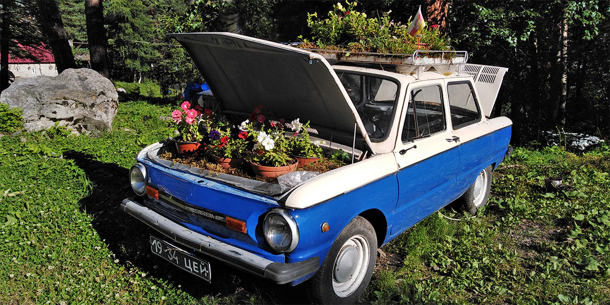 Горный лагерь в Цейском ущелье. Северная Осетия (21/51)