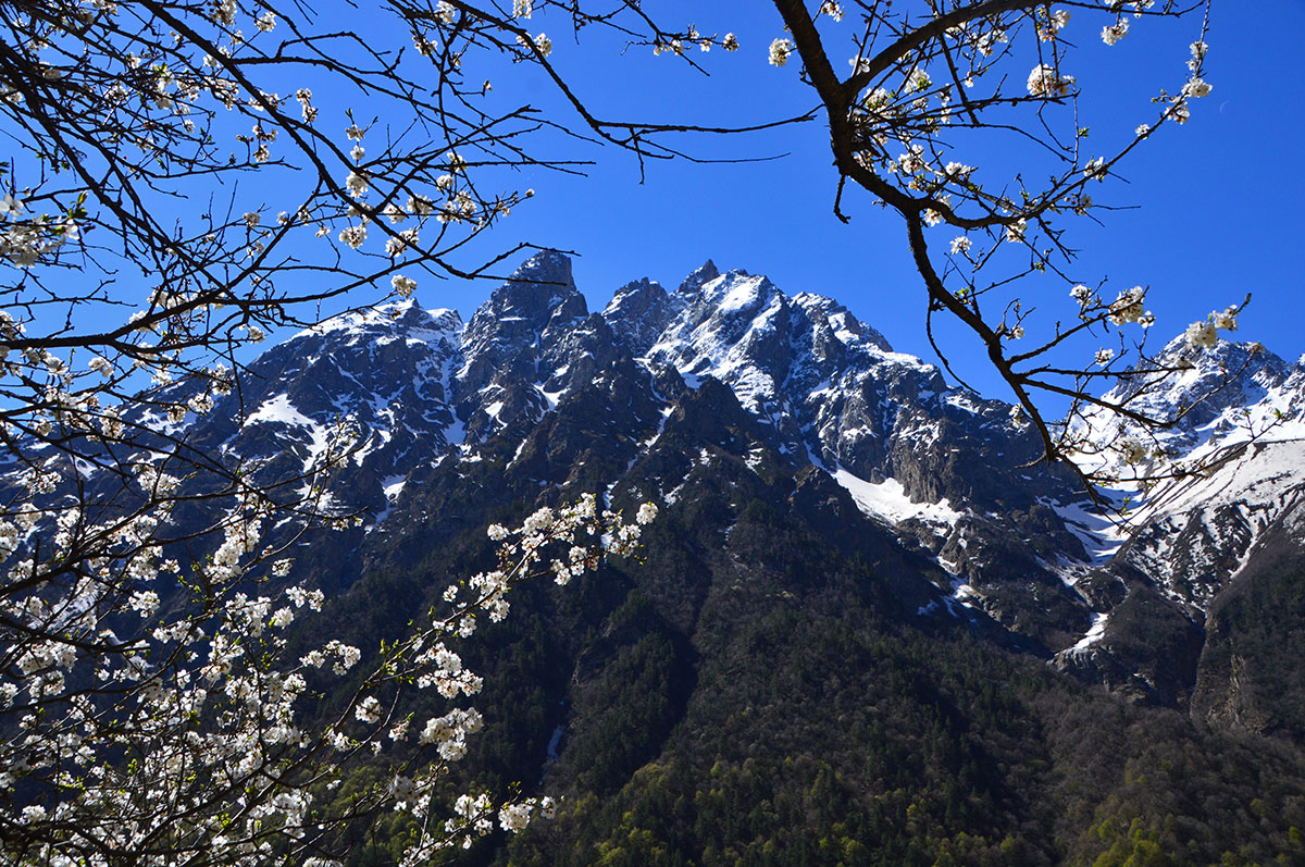 Горный лагерь в Цейском ущелье. Северная Осетия (6/51)